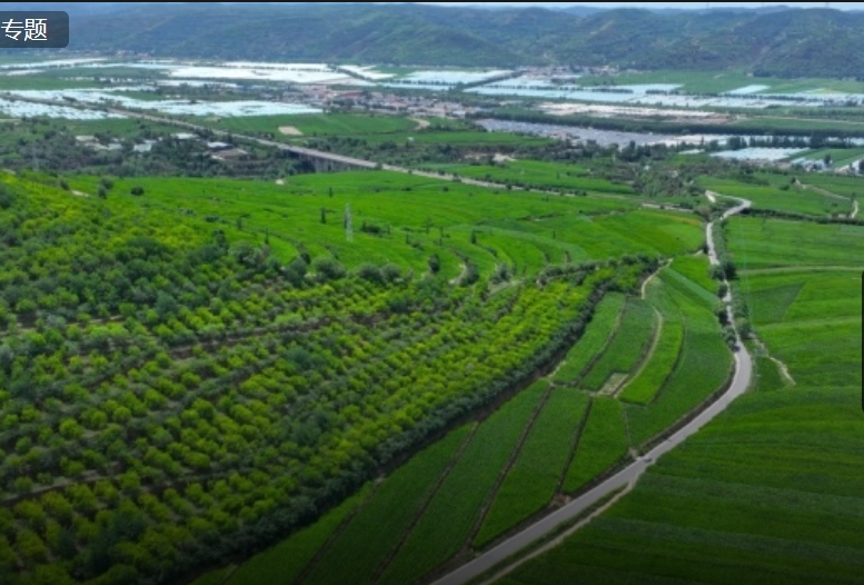 《中国农村发展报告2024》发布